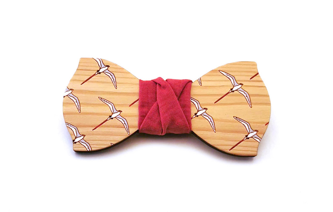 papillon legno abete uccelli ornitologo natura dipinto a mano Gigetto1910